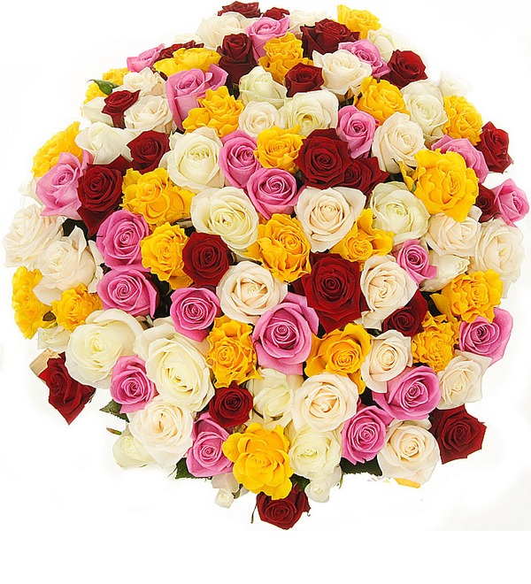 Bouquet of 101 Mixed Rose Primma Donna BG BR104 BUL – photo #3