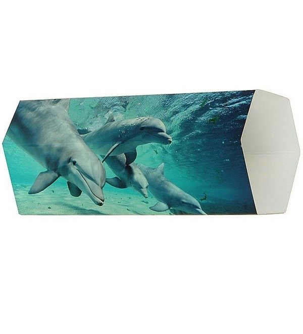 Открытка 3D Дельфины – фото № 2