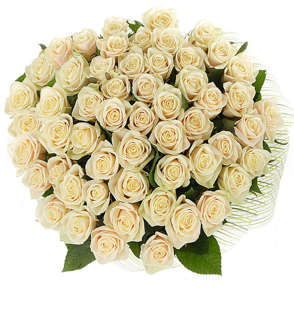 Букет из 51 кремовой розы Гармония в любви AT BR102 KRE – фото № 4