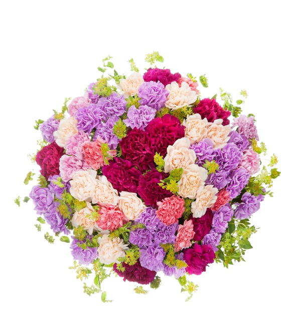 Bouquet of 51 multi-colored carnations with greens Talent BC3802 SAN – photo #3