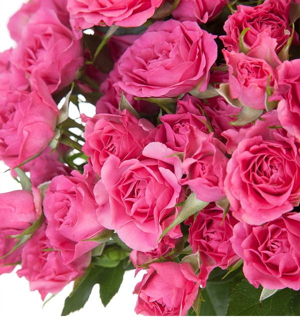 Букет-соло Розовое настроение (15,25,35,51,75 или 101) BC3942 NOV – фото № 3