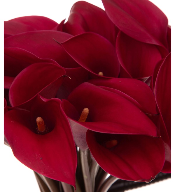 Bouquet-solo calla lilies Red Symphony (15,25,35,51 or 75) – photo #2