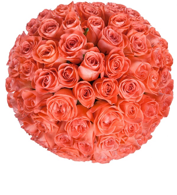 Букет Коралловые розы (25, 51 или 101 роза) – фото № 5