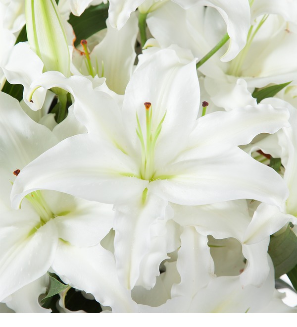 Bouquet of lilies – photo #2
