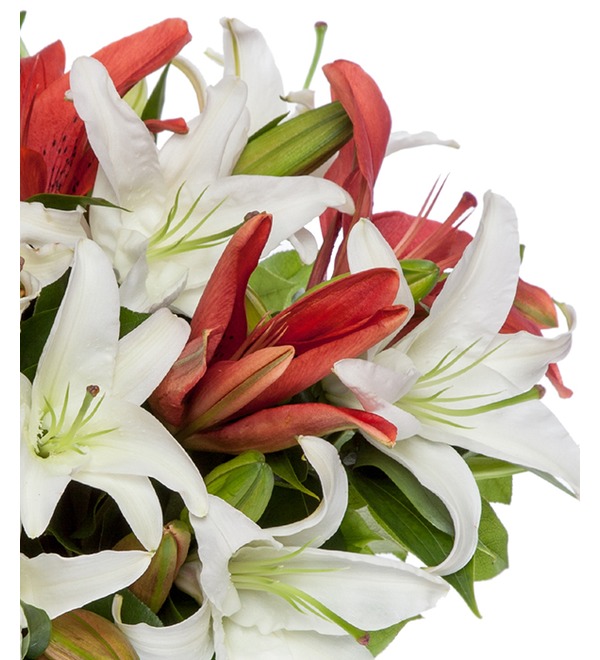 Lilies for the Beloved – photo #3