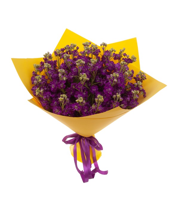 Bouquet-solo of purple matthiola (9,15,25,35,51 or 75) – photo #5