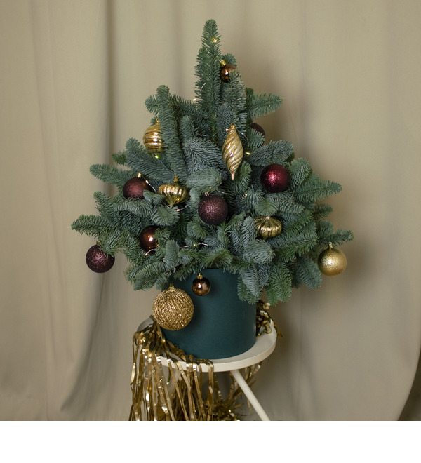 Ёлка Шоко LFL724 SAN – фото № 1