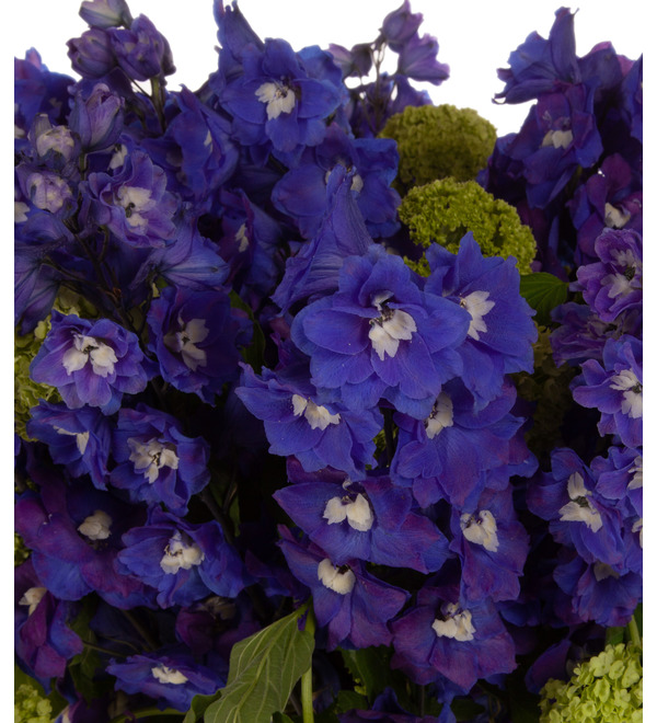 Bouquet-duet Aesthetics – photo #2