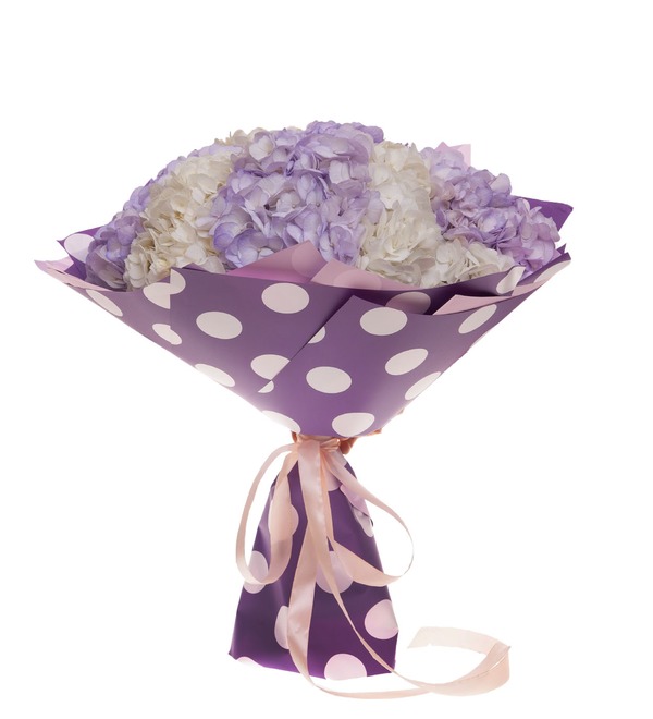 Bouquet-duet of hydrangeas Melody of two hearts (7,9,15,25 or 35) – photo #4