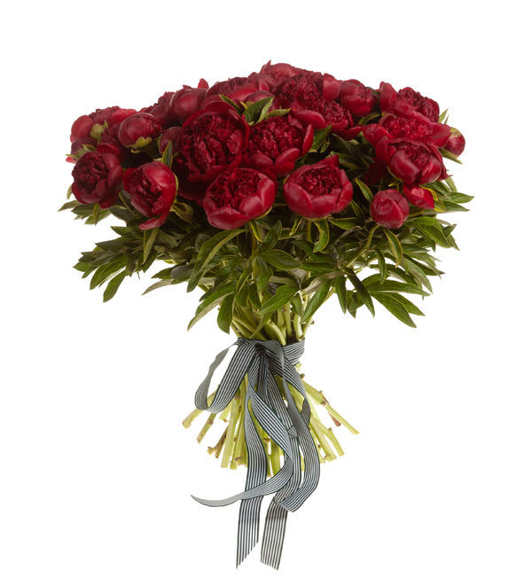 Bouquet-solo of Red Charm peonies (15,25,35,51,75 or 101) – photo #4
