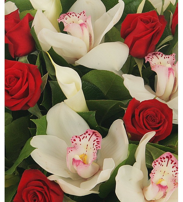 Bouquet Moscow,roses,dreams... AE 3012 DUB – photo #5