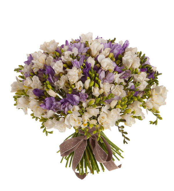 Bouquet-duet Tender freesias (25,35,51,75 or 101) – photo #5