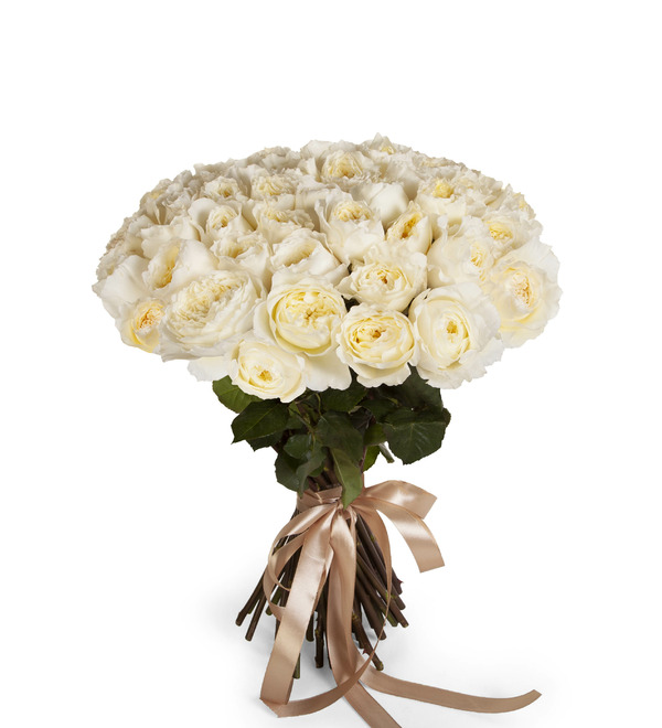 Букет-соло роз David Austin Patience (51, 75 или 101) – фото № 5