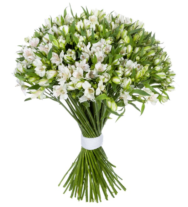 Bouquet-solo White Alstroemeria (25,51 or 101) – photo #3