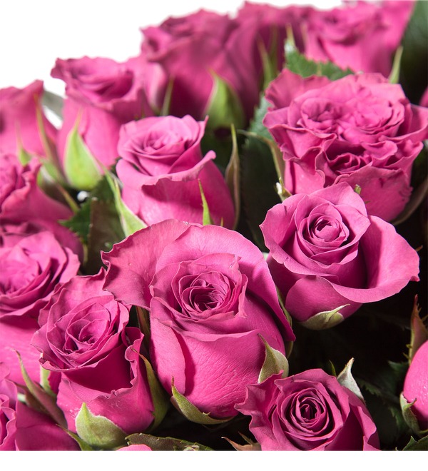 Букет роз Ascot (31, 51 или 101) – фото № 3