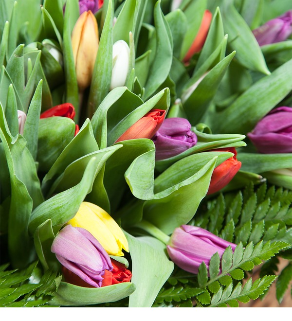 Composition of 1001 tulips – photo #3