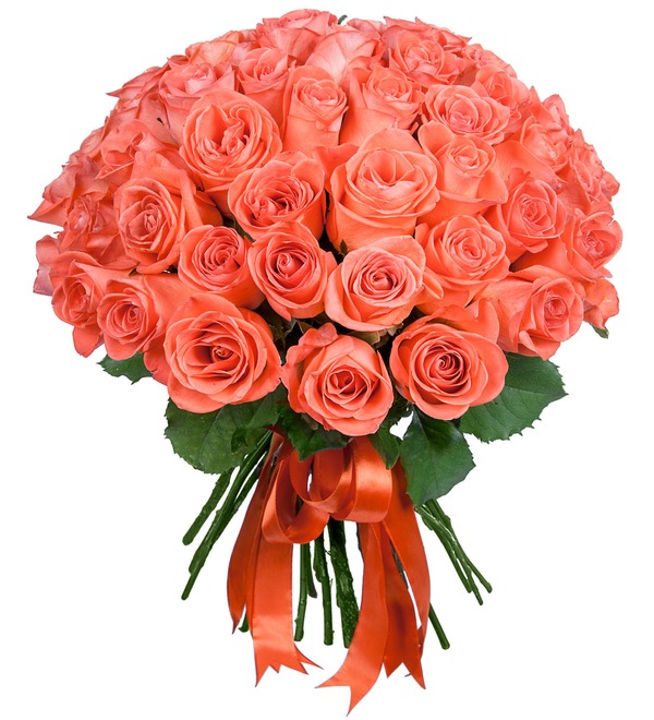 Букет Коралловые розы (25, 51 или 101 роза) – фото № 1