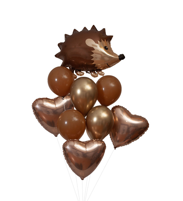 Bouquet of balloons Hedgehog – photo #1