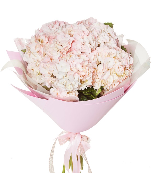 Bouquet of pink hydrangeas (5, 7 or 9) – photo #5