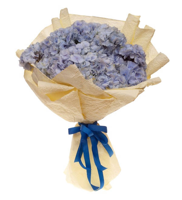 Bouquet-solo of blue hydrangeas (5,7,9,15,21 or 25) – photo #4