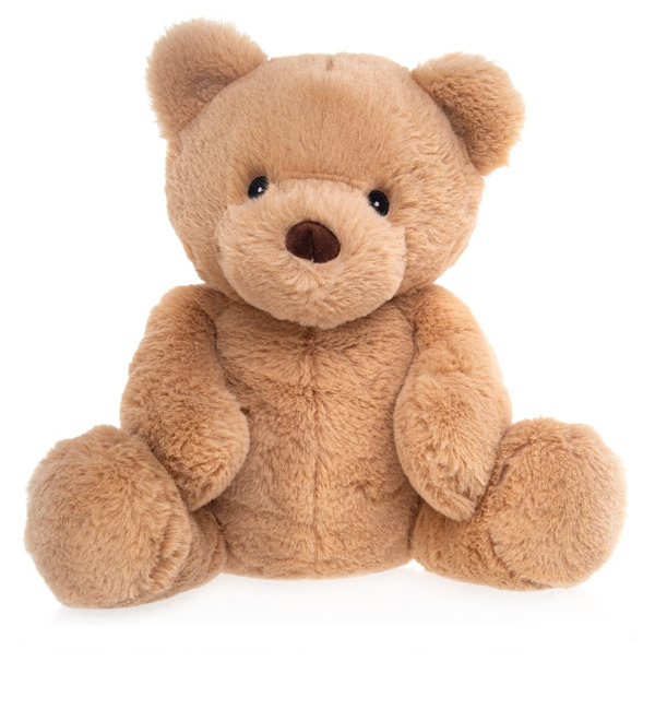 Soft toy Bear (26cm) – photo #1