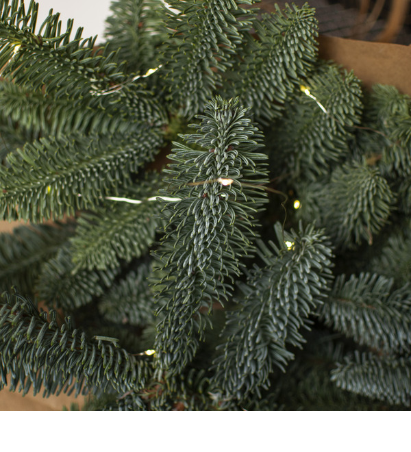 Букет Нобилис LFL711 SAN – фото № 2