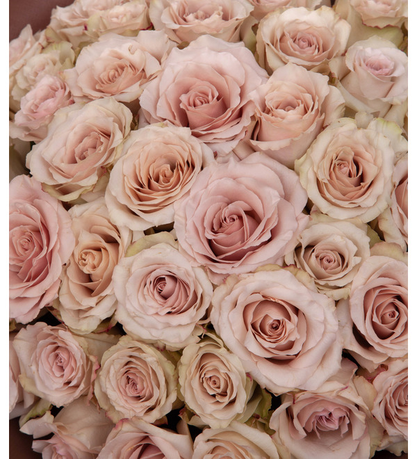 Букет-соло пионовидных роз Quicksand (9,15,25,35,51 или 75) – фото № 3