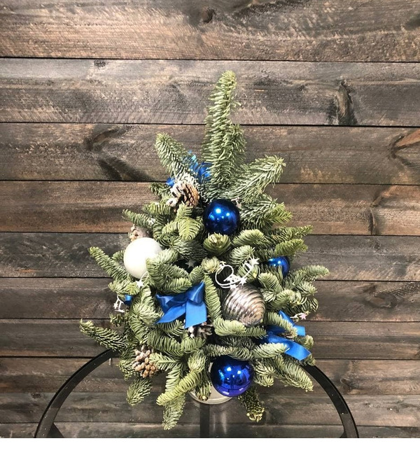 Ёлка Сине-серебряная KTBC95 SAN – фото № 1