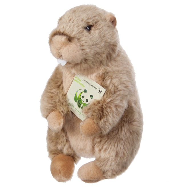 Soft toy Groundhog WWF (23 cm) – photo #1