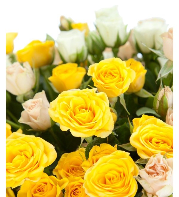 Bouquet of 51 bush roses Creme-brule – photo #3