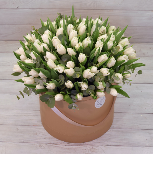 Composition March LFL765 KRA – photo #3