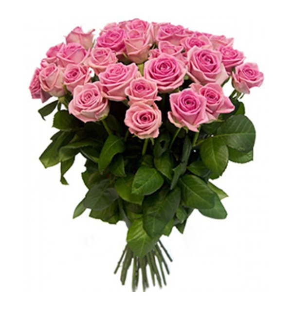 25 pink roses in a wrapping СY905 LAK – photo #1