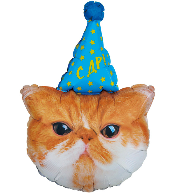 Balloon Kitty. Happy Birthday! (81 cm) – photo #1