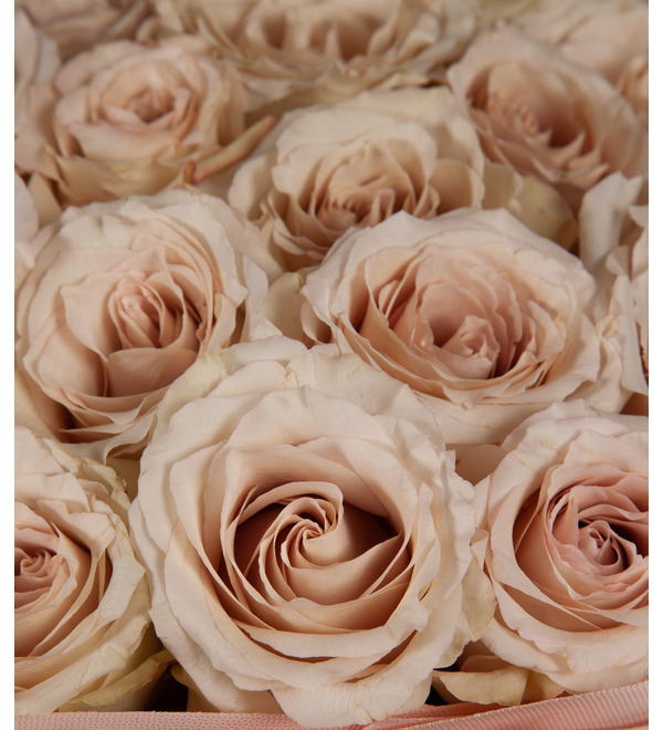 Букет-соло роз Quicksand (15,25,35,51,75 или 101) – фото № 2