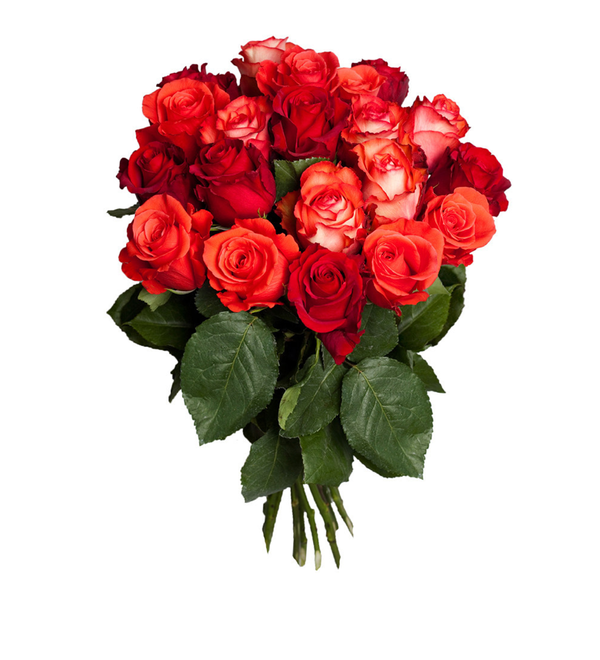 Букет Red Mix из красных смешанных роз, 50 см 11/15/21 роз FR3 LEN – фото № 1