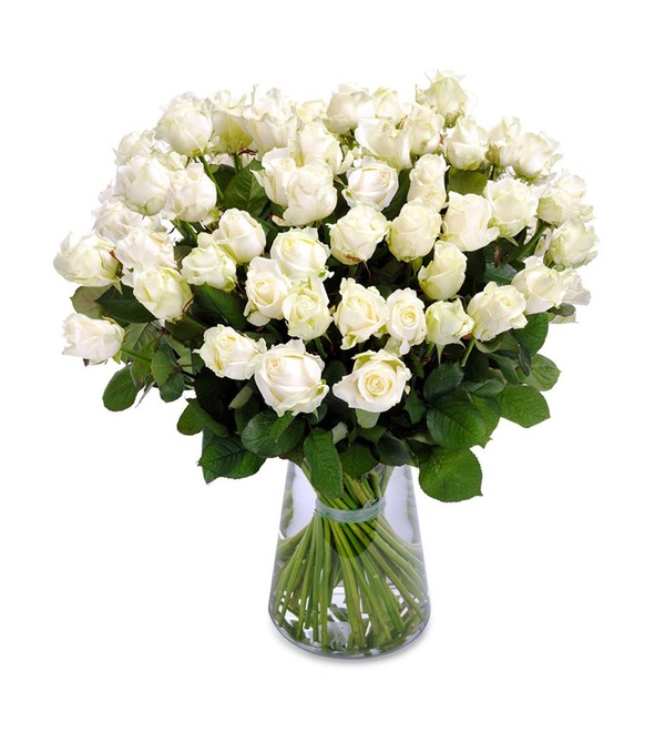 Белые розы BC02076 MON – фото № 1