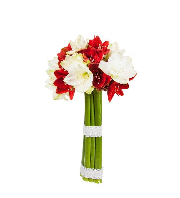 Bouquet of multi-colored amaryllis (5, 7 or 9) – photo #5
