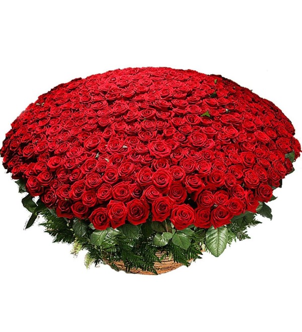 Композиция из 501 розы Гран При Любовь всегда права! – фото № 1