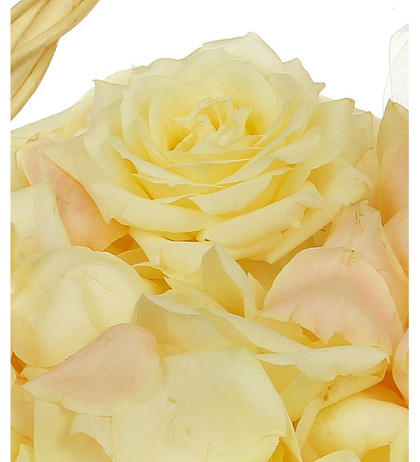 Лепестки светлых роз Добрый Ангел PMX2 KRE – фото № 5