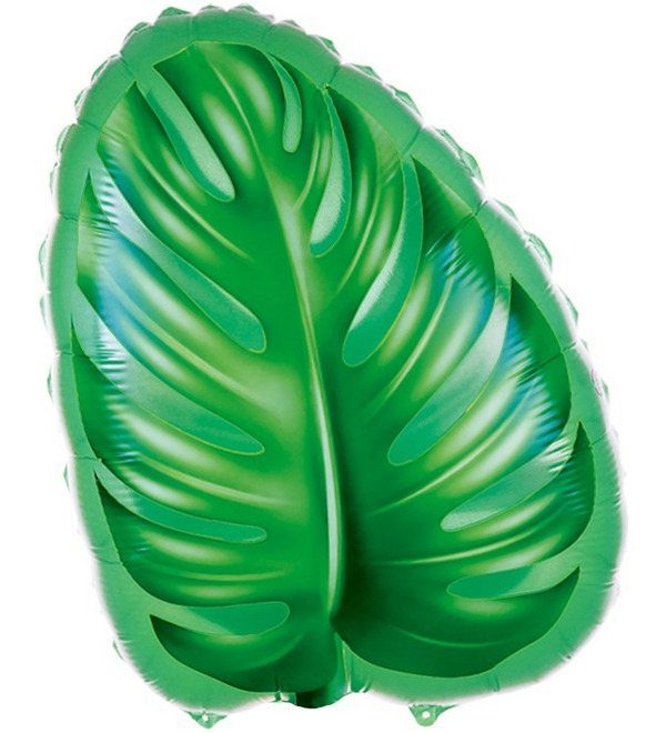 Воздушный шар Пальмовый лист (51 см) – фото № 1