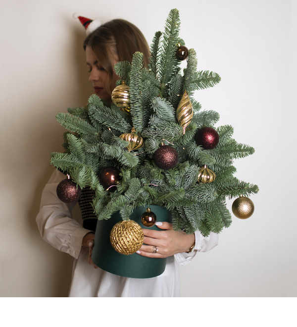 Ёлка Шоко LFL724 SAN – фото № 3