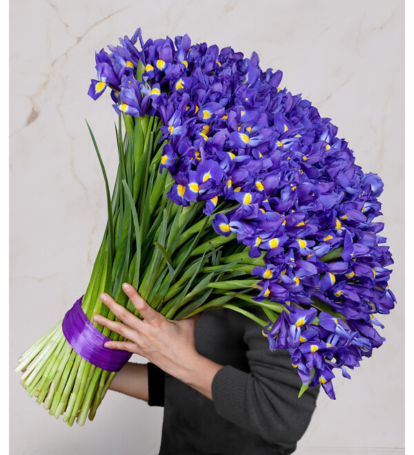Bouquet-solo Blue irises (51,75,101 or 151) – photo #1