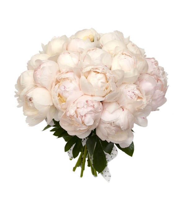 Bouquet of peonies Duchesse De Nemours (15, 31 or 61 peony) MN1 BOL – photo #5