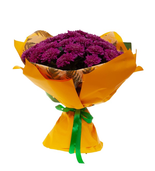 Букет-соло хризантем Bigoudi Purple (7,15,21,35 или 51) – фото № 4