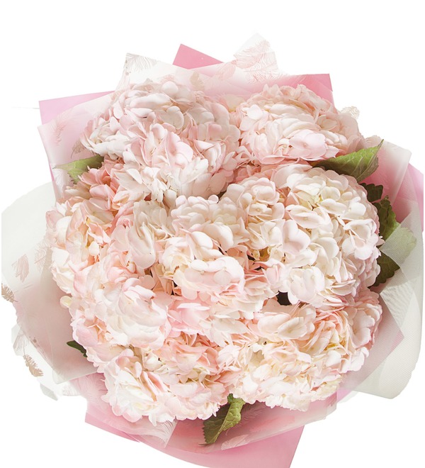 Bouquet of pink hydrangeas (5, 7 or 9) – photo #2