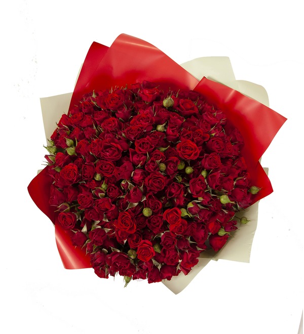 Букет-соло Красные кустовые розы (25,35,51,75 или 101) MCS35 RUS – фото № 3