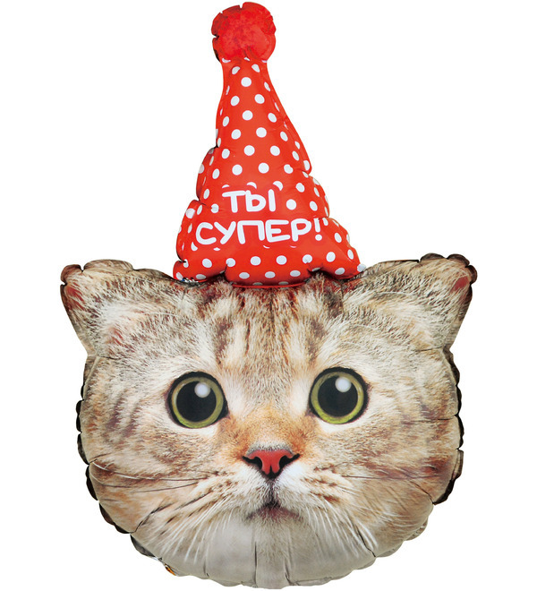 Balloon Kitten. You are super! (81 cm) – photo #1