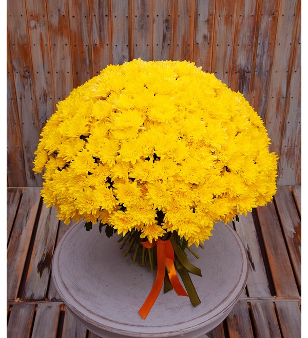 Bouquet-solo of yellow chrysanthemums (15,25,51,75 or 101) – photo #1