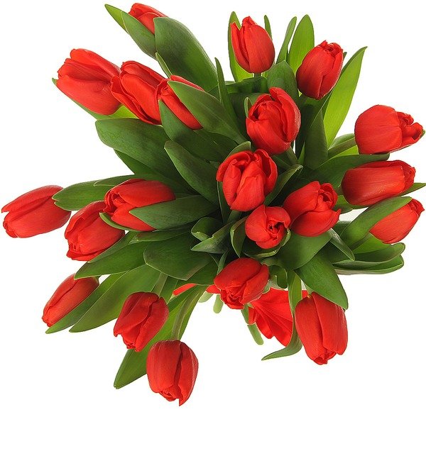 Букет из 21 красного тюльпана ABN1104 BAR – фото № 4