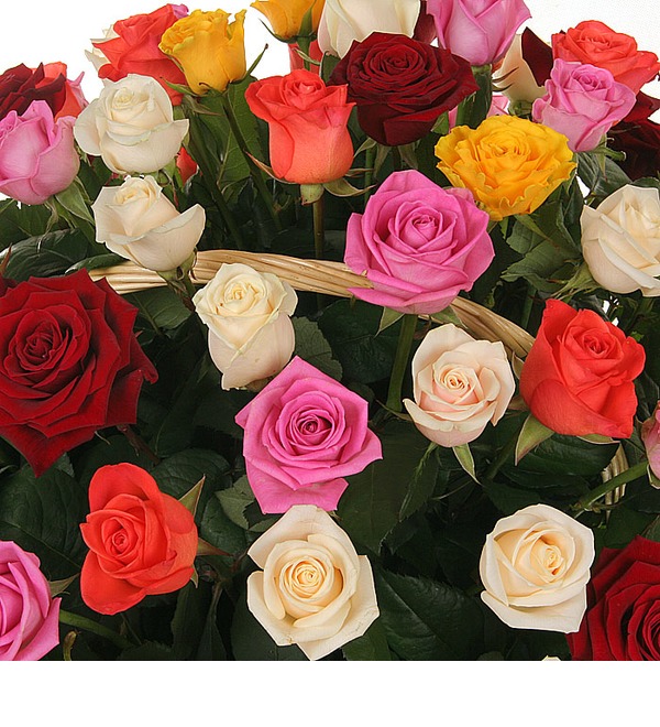 Композиция Праздничный салют (51, 101 или 201 роза) AR617 MAR – фото № 5